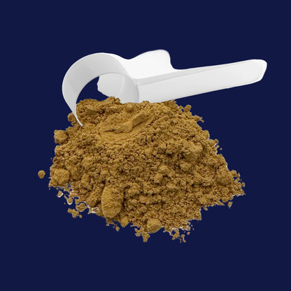 Mushroom Fuse Instant Coffee (Medium Roast)